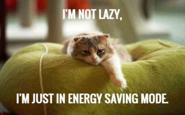 I’m NOT Lazy You Know